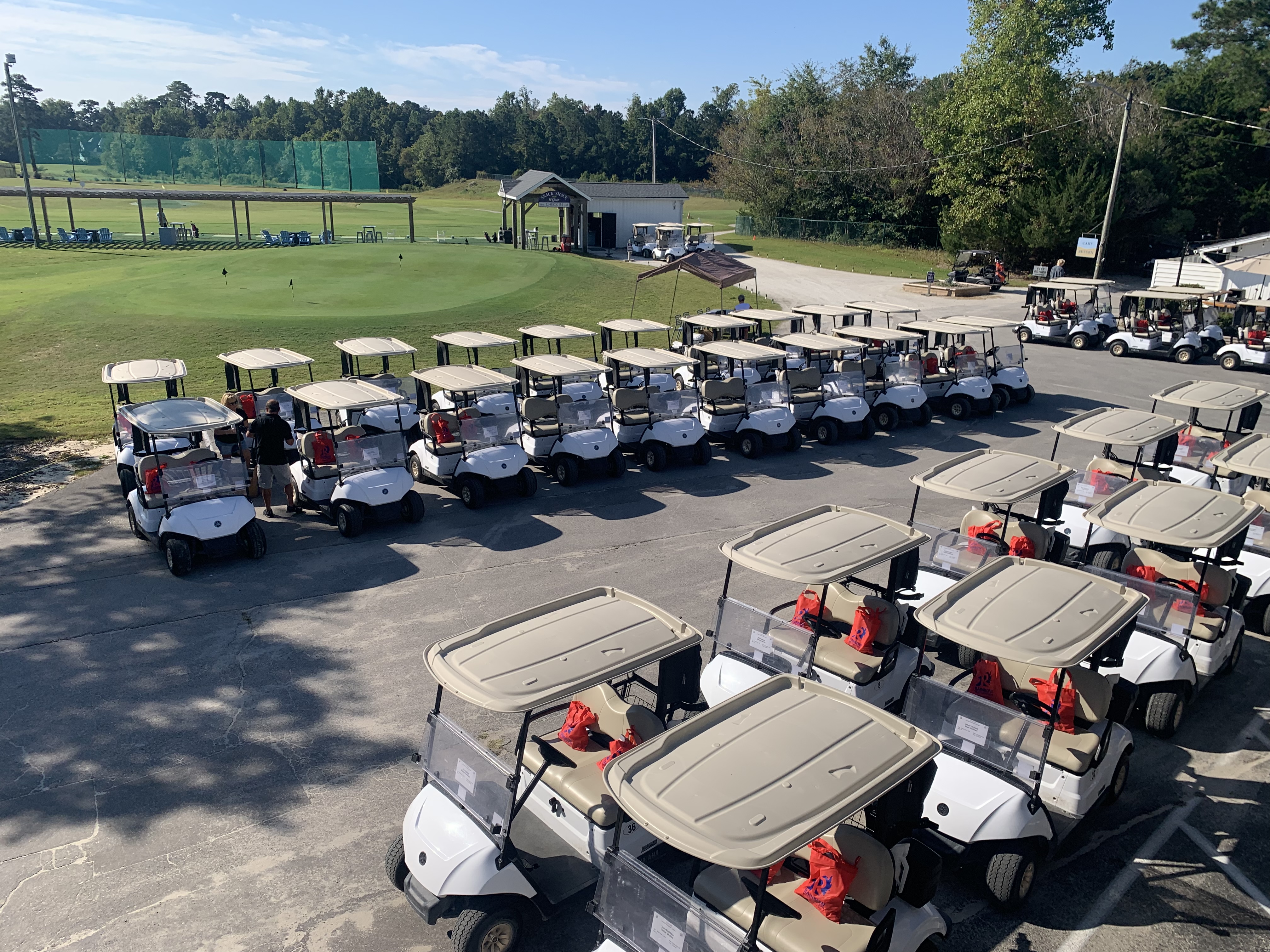 Image of golf ball on tee on grass.